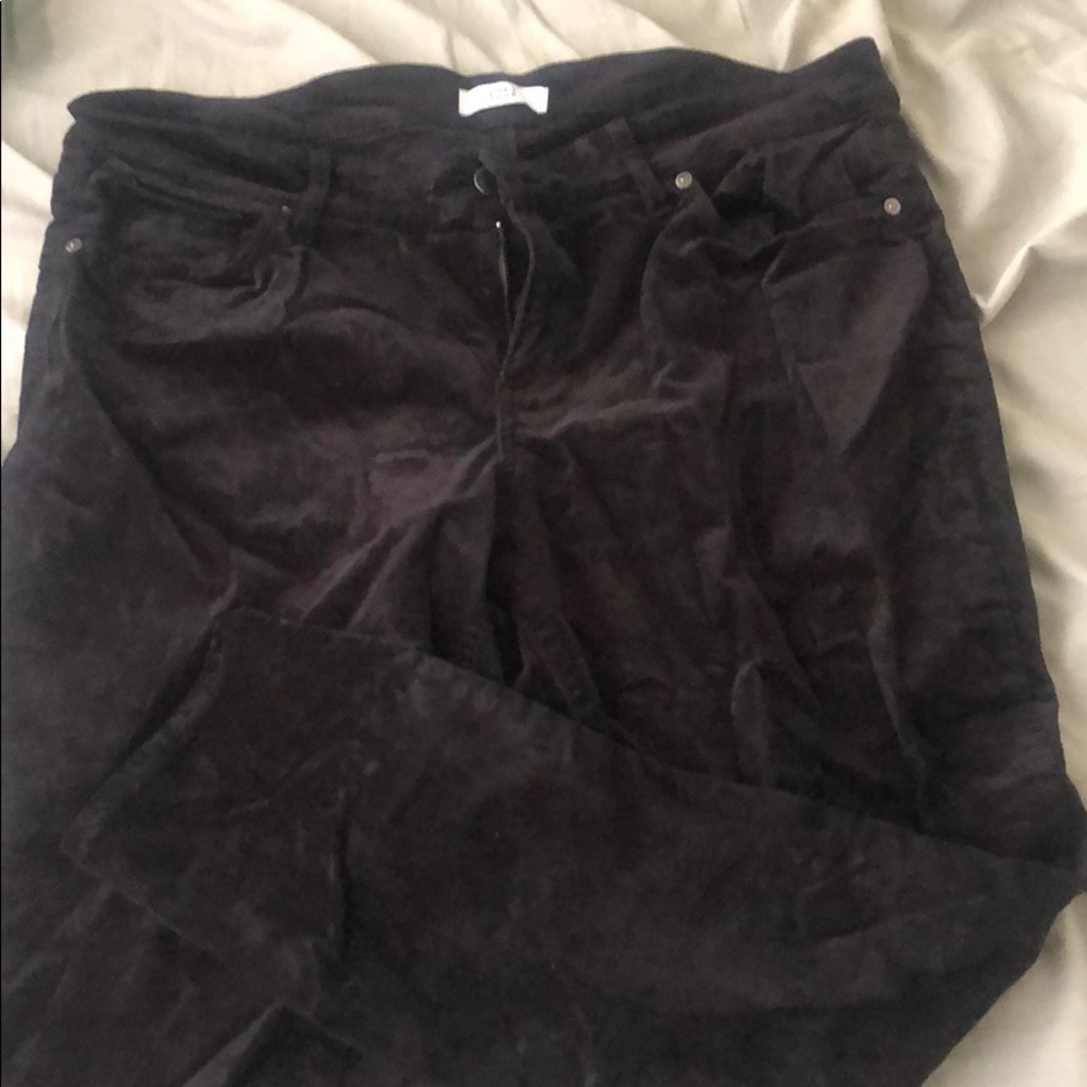 Loft Velvet Skinny Jeans